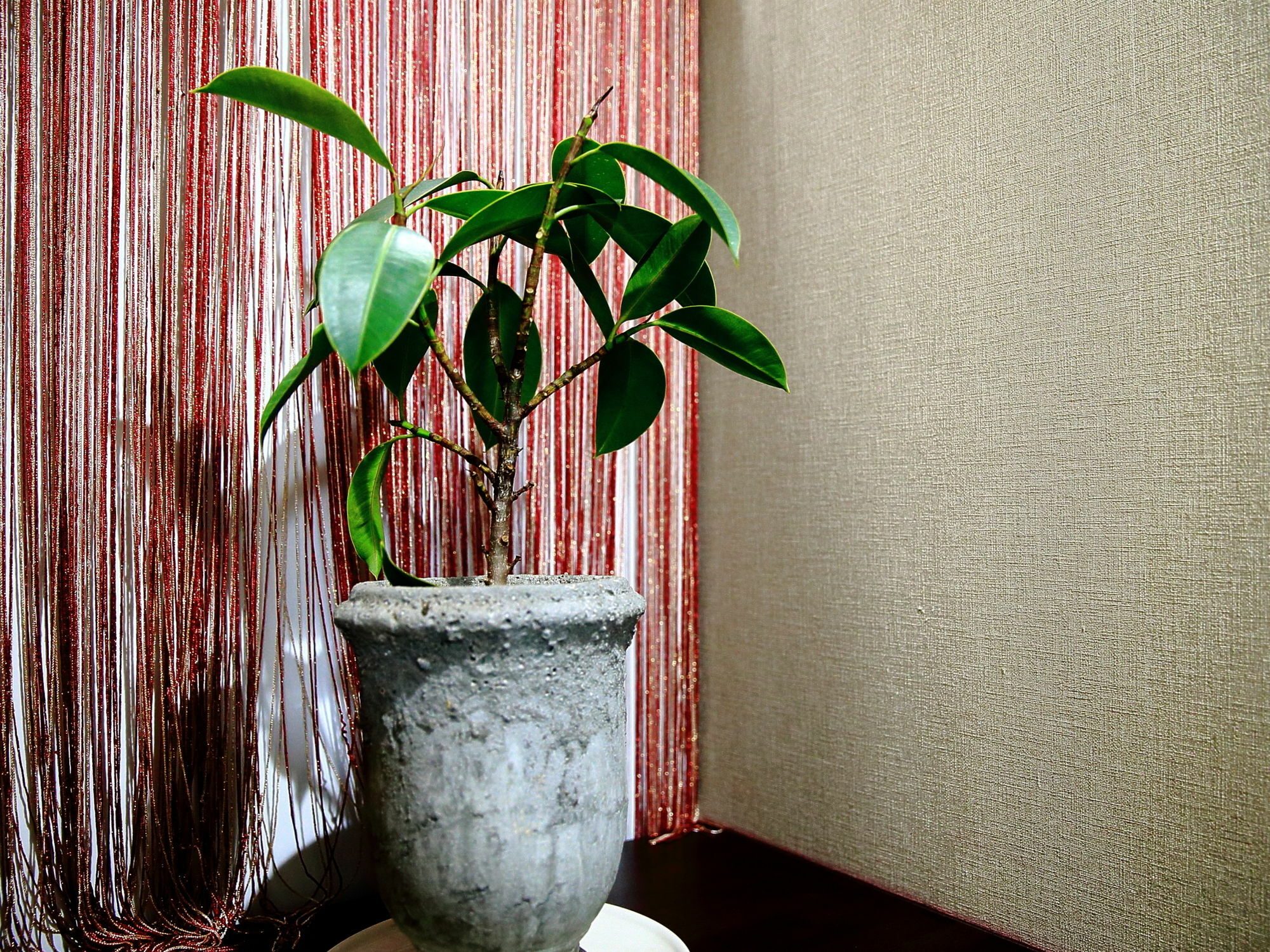 Coto Tokyo Asakusa 1 מראה חיצוני תמונה